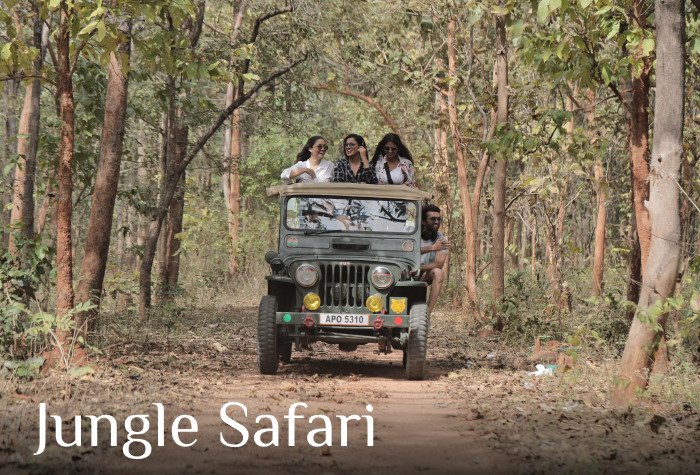 LP-Jungle-Safari-Slider