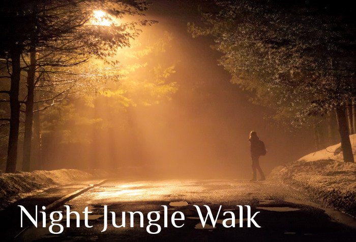 LP-Night-Jungle-Walk-Slider